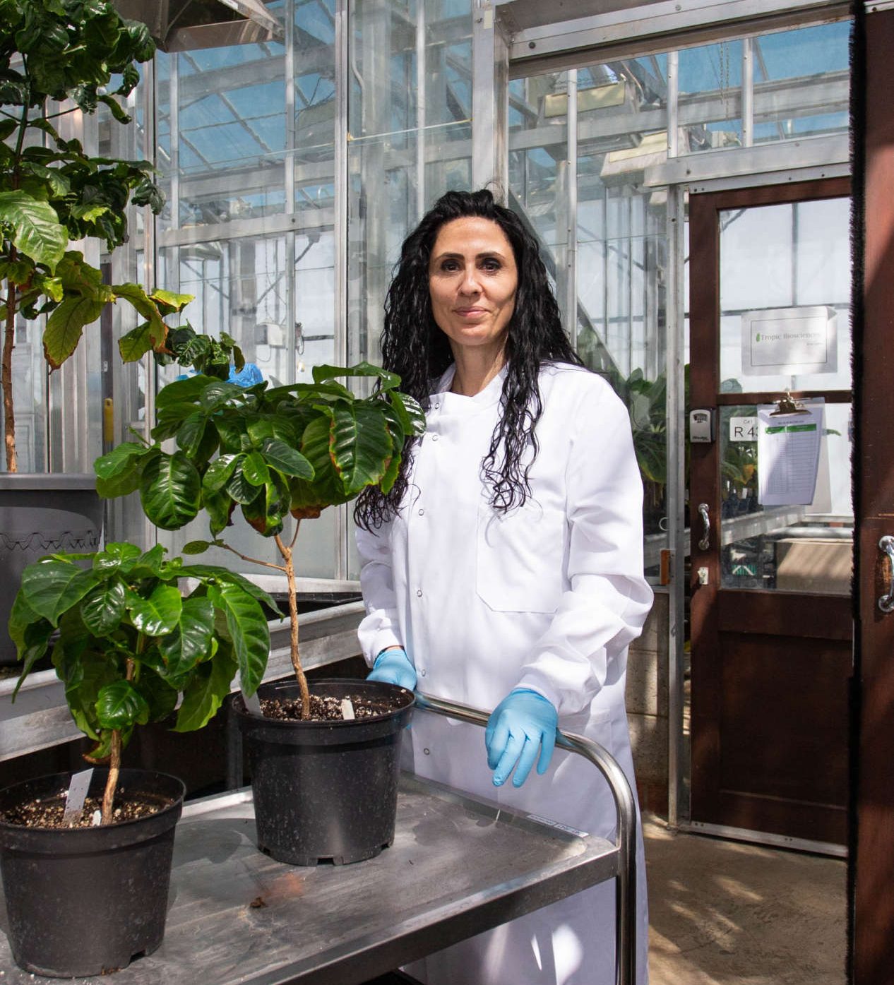 Tropic Bioscience — innovation photography